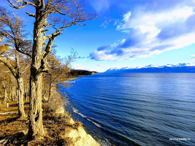 Vista del Lago Fagnano o Cami en un día soleado, Tierra del Fuego, Argentina