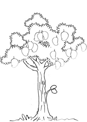 Contoh Gambar Pohon Psikotes  Besar