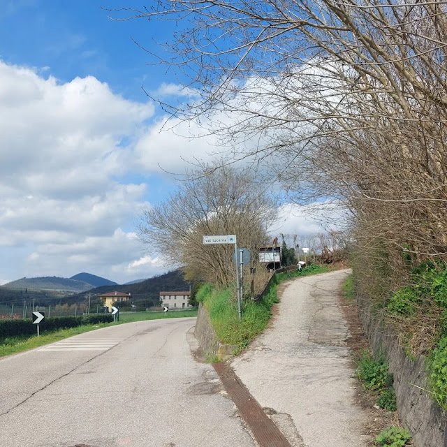 sentiero monte cecilia