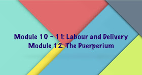 module 10 11 labour and delivery module 12 the puerperium rcog guidelines