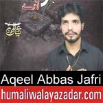 https://www.humaliwalyazadar.com/2018/09/aqeel-abbas-jafri-nohay-2019.html