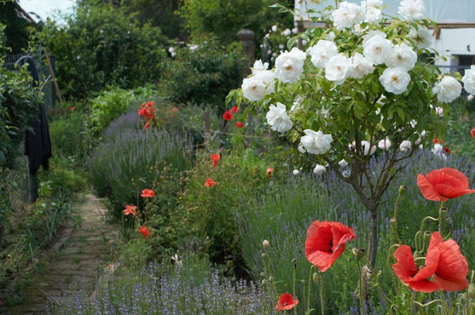 Gemüsebeet mit Blumen