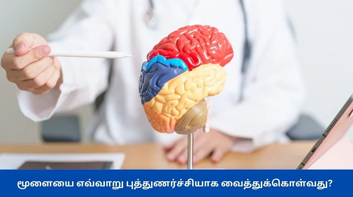 மூளையை எவ்வாறு புத்துணர்ச்சியாக வைத்துக்கொள்வது