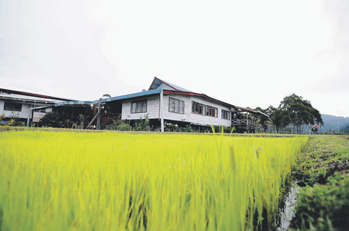 The Cottage: 10 Tanah tinggi yang menarik di Malaysia.