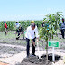 Jokowi Tanam Pohon Mangga Bersama Petani di Areal Kesongo