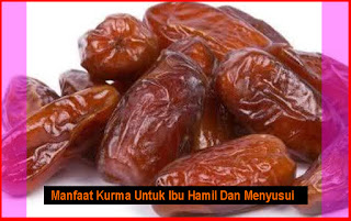 Manfaat Kurma Untuk Ibu Hamil Dan Menyusui