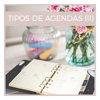 Súper guía sobre agendas vol. I