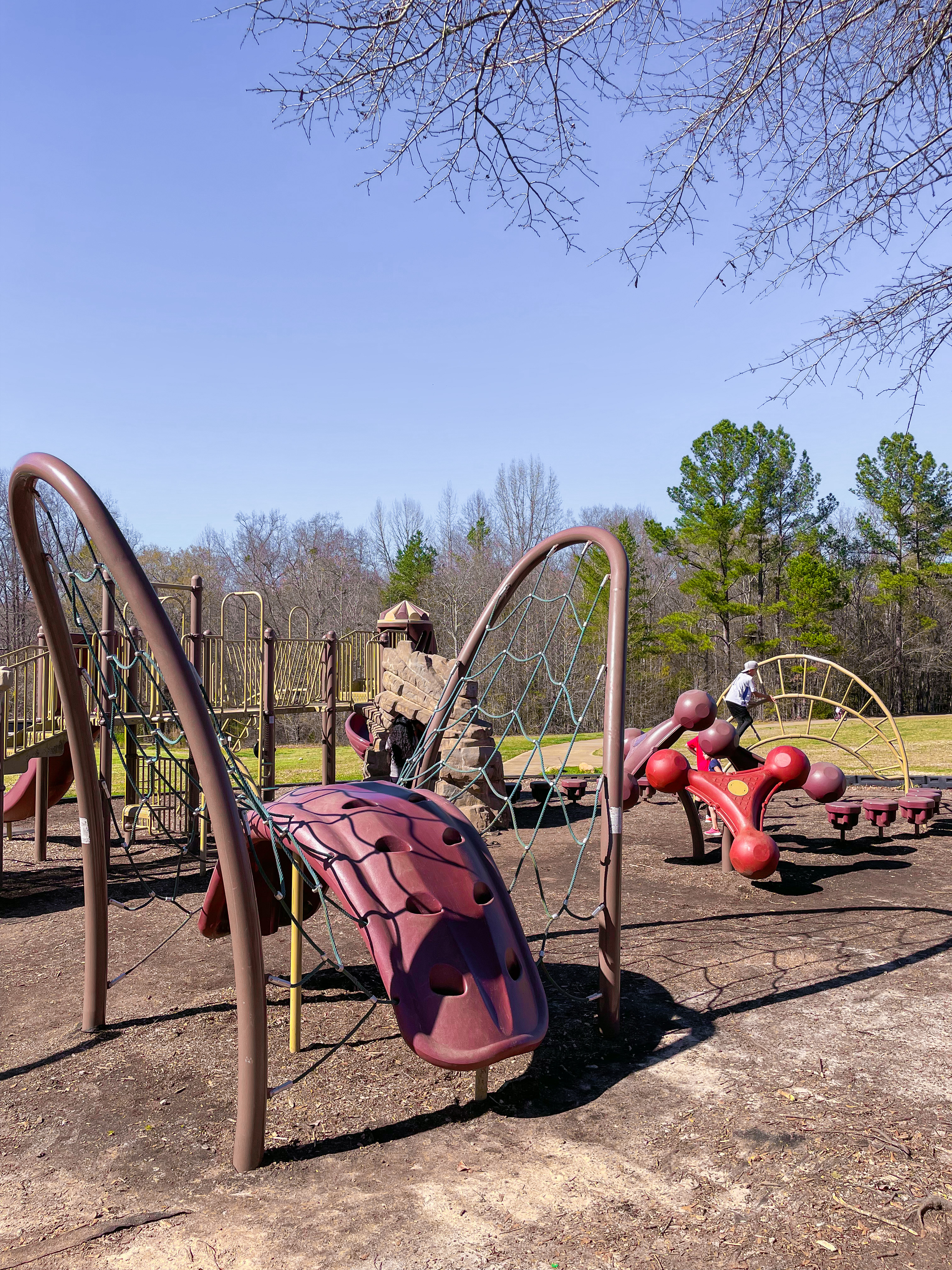 Cedar Falls Park Playgroud