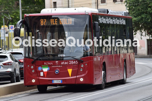 I 5 migliori Autobus di Roma, secondo Trasporti Romani