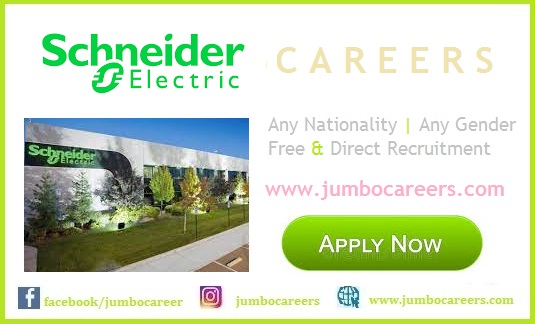 Schneider Electric Dubai Job Salary |  Schneider Electric UAE Jobs and Careers 2023