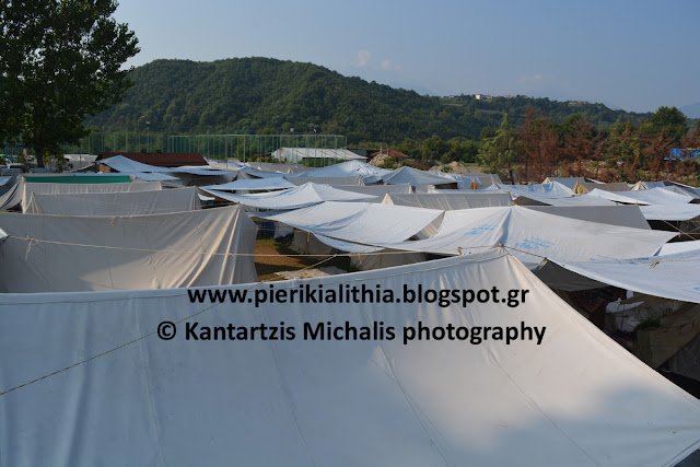 Προκήρυξη για την σίτιση 400 μεταναστών στο "Κτήμα Ηρακλή". Απορίες και συμπεράσματα...