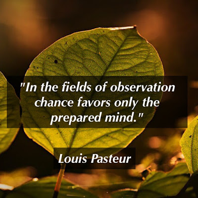 In the fields of observation chance favors only the prepared mind. - Louis Pasteur