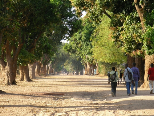 objek wisata Afrika Tengah, wisata populer Afrika Tengah, wisata nasional Afrika Tengah