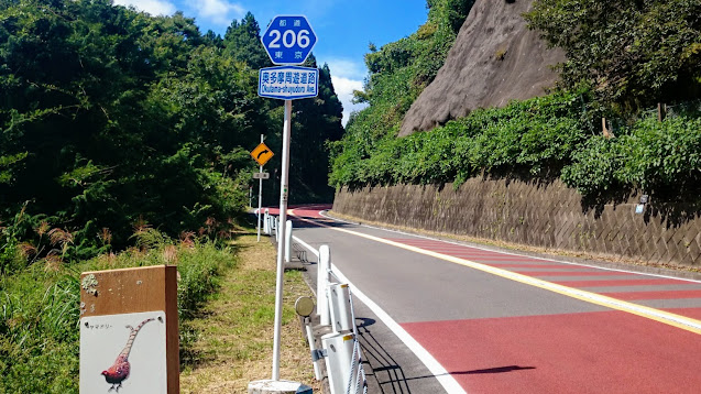 奥多摩 奥多摩周遊道路 五日市