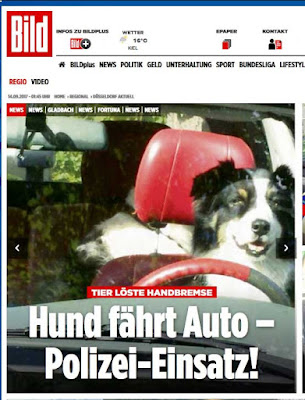 http://www.bild.de/regional/duesseldorf/hund/faehrt-auto-polizei-einsatz-53205396.bild.html