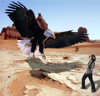 Eagle attacks