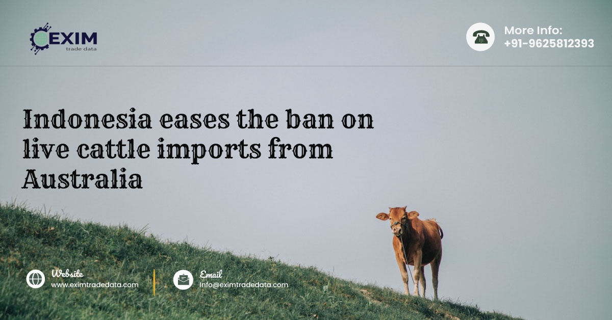 Indonesia eases the ban on live cattle imports from Australia