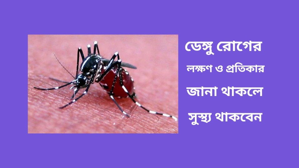 ডেঙ্গু রোগের লক্ষণ ও প্রতিকার