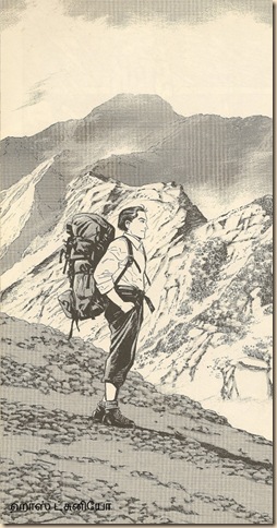 lsd11