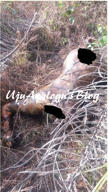 Beheaded woman found in Imo bush with vagina, breasts missing [ GRAPHIC PHOTOS]