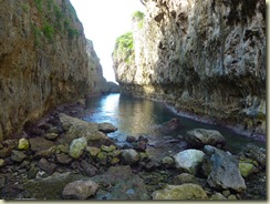P1010347