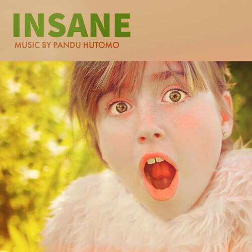 Download Lagu Pandu Hutomo - Insane