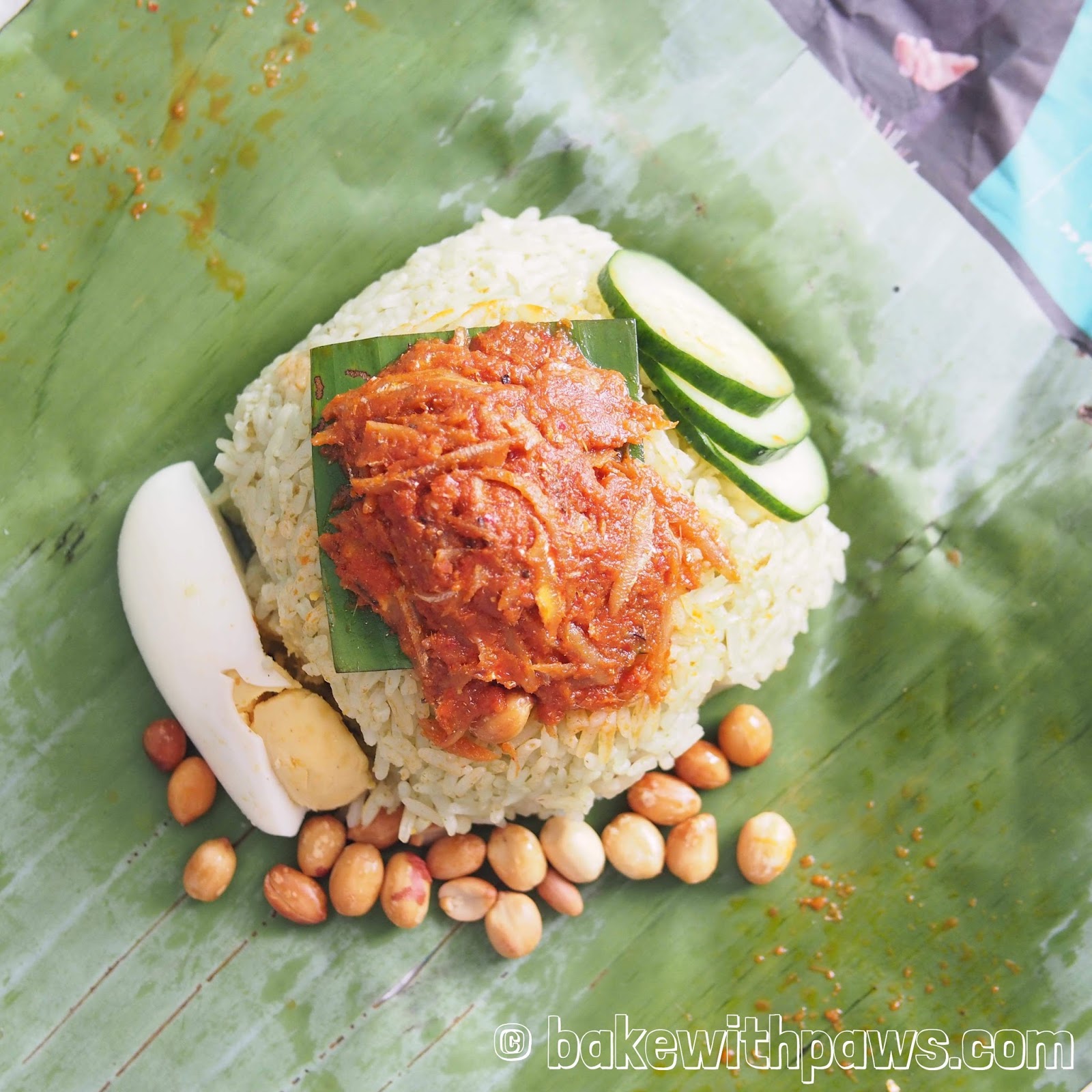  Nasi Lemak Bungkus  BAKE WITH PAWS