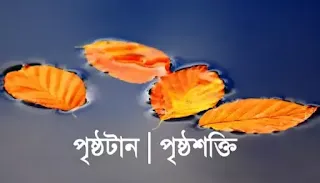 পৃষ্ঠটান