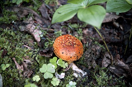 JPEG-export-5169