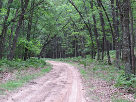 Fox Trail road