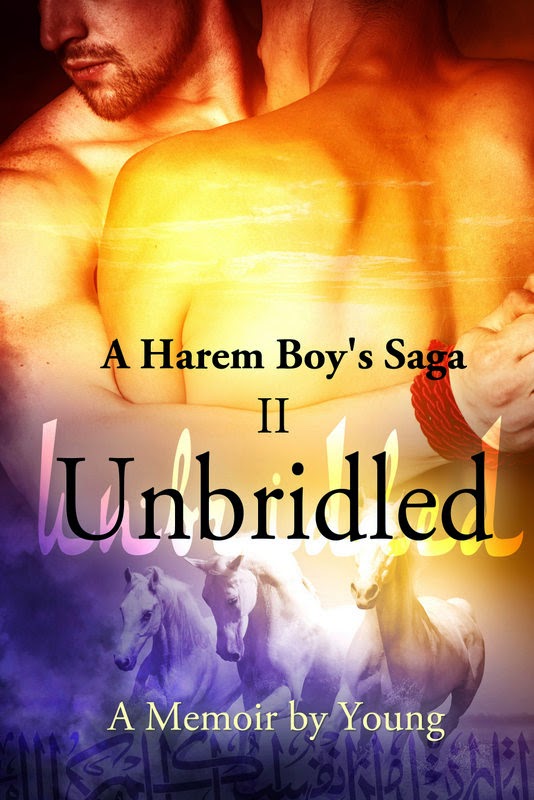 http://www.amazon.com/Unbridled-Harem-Boys-Saga-Book-ebook/dp/B00L8F1RYO/ref=la_B00CENKJKM_1_2?s=books&ie=UTF8&qid=1421655668&sr=1-2