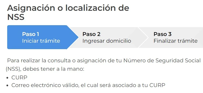 Muestra de Formato para iniciar tramite de NSS