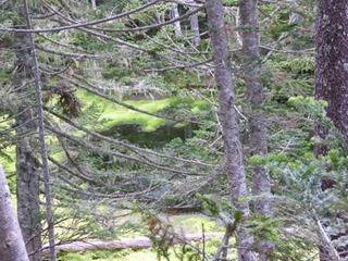 326P1020107-326
