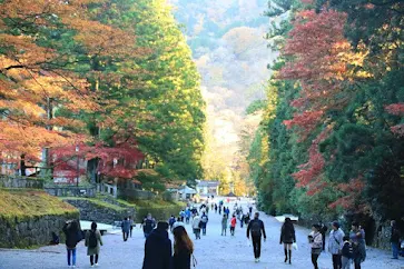 東照宮前参道