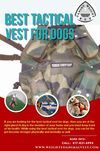 Best Tactical Vest For Dogs