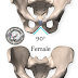 كيفية التمييز بين حوض الذكر والاثنى  ؟؟ Male &Female Pelvis