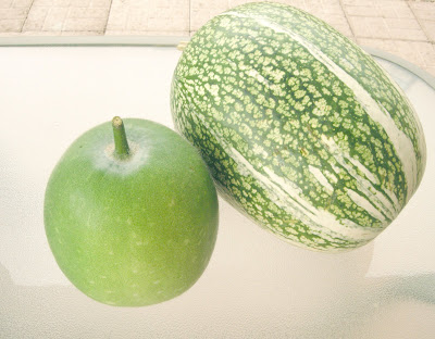 shark fin melon. Winter melon on the left,