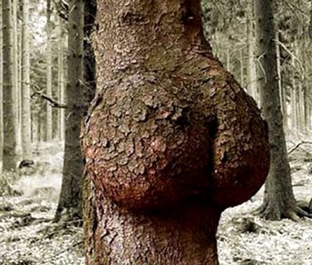 nature-is-sexy (9)