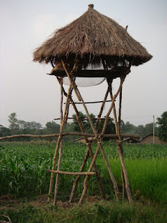 LACN - voyage - nepal