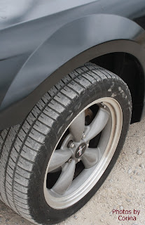 2002 Ford Mustang Fender & Tire with Mustang Rim