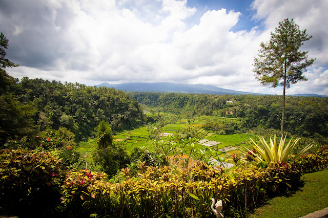 Vulcano Agung e risaie-Bali