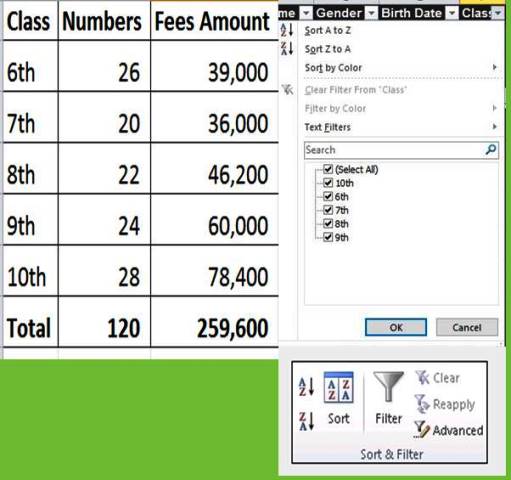 COUNTIF, SUMIF Formulas and Filter Option in Excel