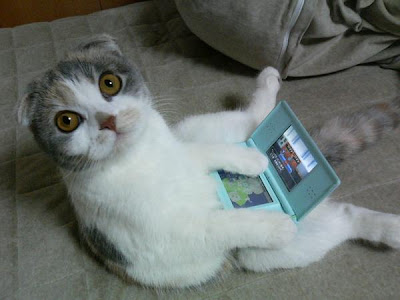 Cat Playing Video Games