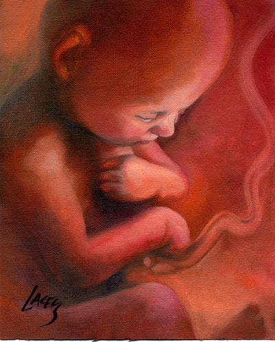 images of babies in the womb. Baby in the Womb by Dan Lacey