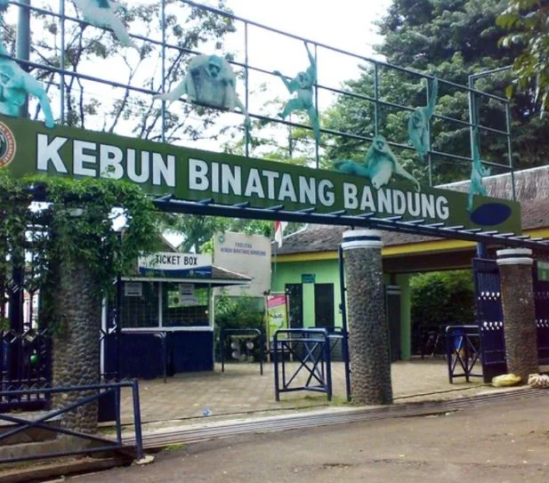 kebun binatang bandung