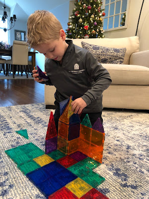 Picasso Magnetic Tiles are my boys' favorite toy. They play with them nearly every day. Best toy ever!