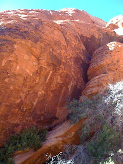 Red rocks