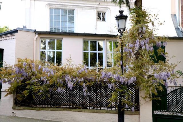 House 4 with blooming lavender blue wisteria on private Avenue Frochot in Paris