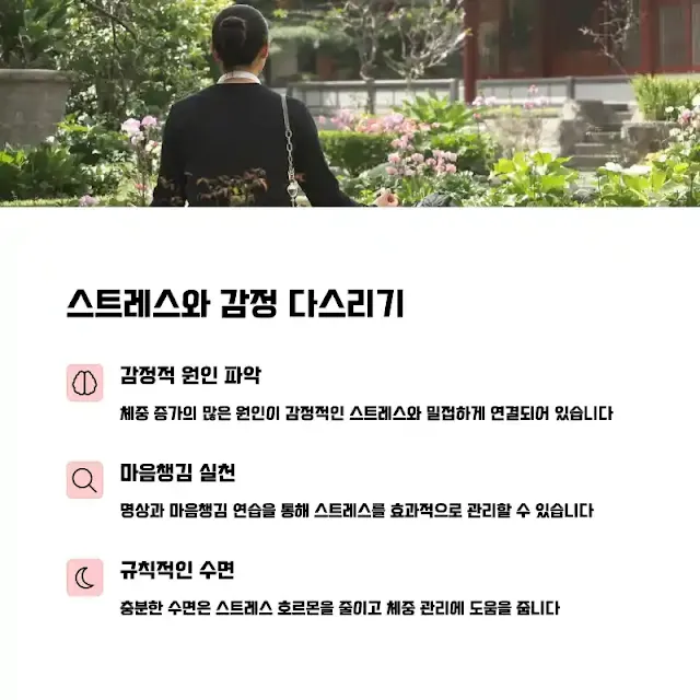 스트레스 관리와 감정적 원인 이해하기