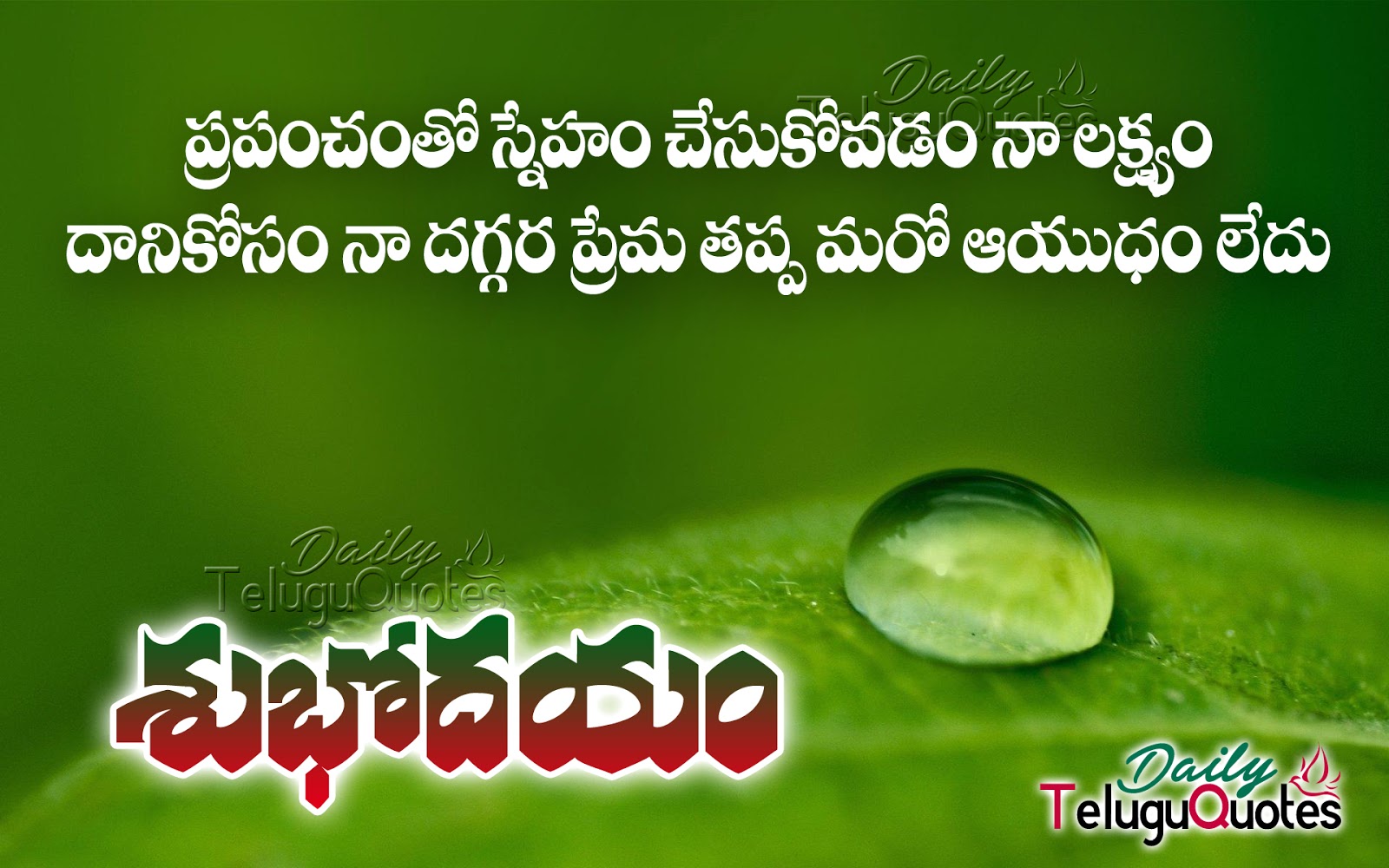 nice telugu good morning quotes greetings sms pictures
